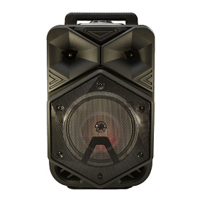 Колонка BT-1778 (Bluetooth/MicroSD/USB/FM/пульт/AUX/Microphone) 25W черная