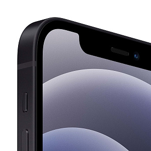Смартфон Apple iPhone 12 256Gb черный