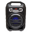 Колонка BS12 (Bluetooth/MicroSD/USB/FM/AUX) черная
