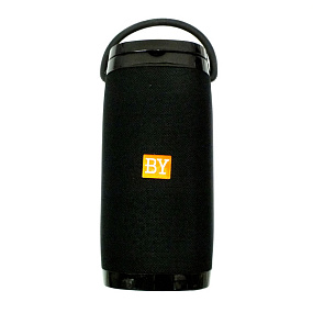 Колонка BY 6650 (Bluetooth/MicroSD/USB/FM/AUX/Microphone) черная