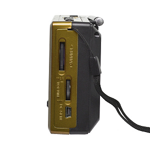 Радиоприемник GOLON RX-6677-S золото