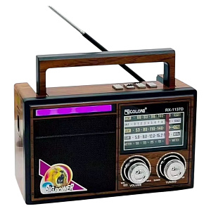 Радиоприемник GOLON RX-1137D 5W